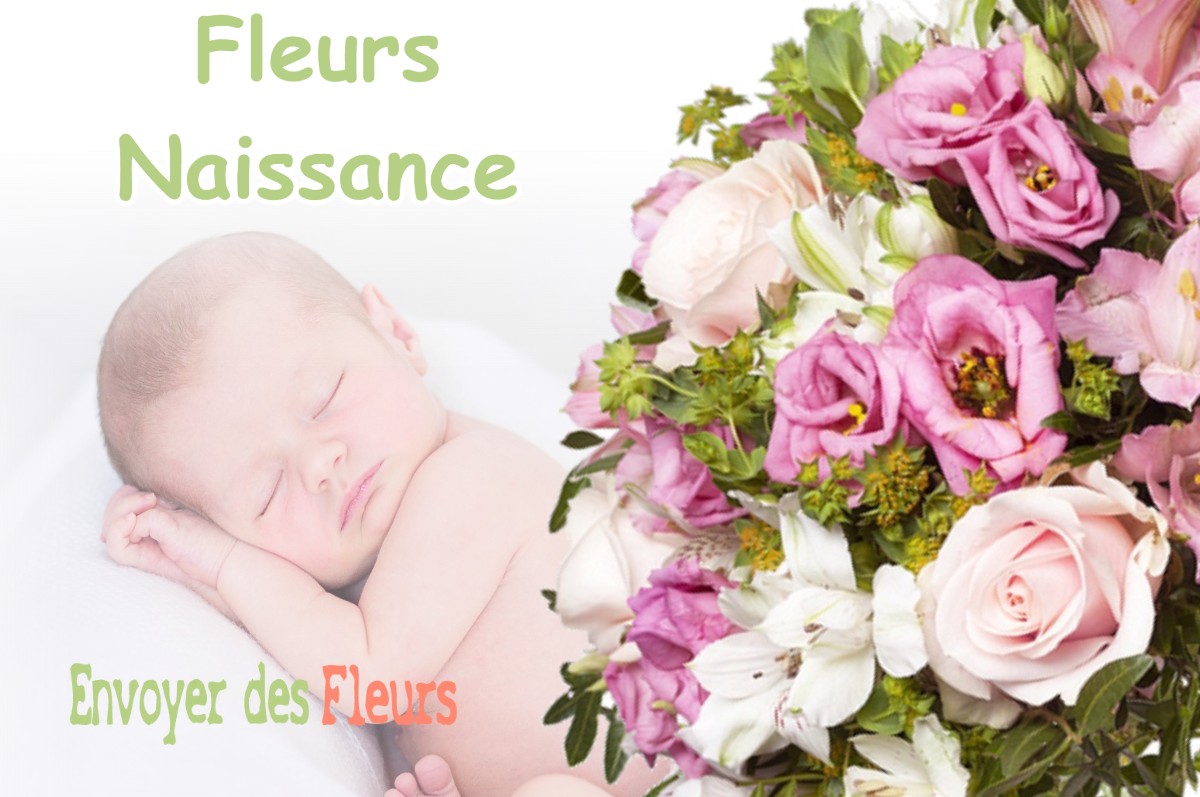 lIVRAISON FLEURS NAISSANCE à VALBOIS